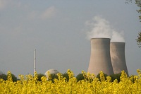 Kühltürme eines Atomkraftwerks hitter einem Rapsfeld