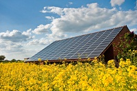 Eine Solaranlage auf einem Rapsfeld