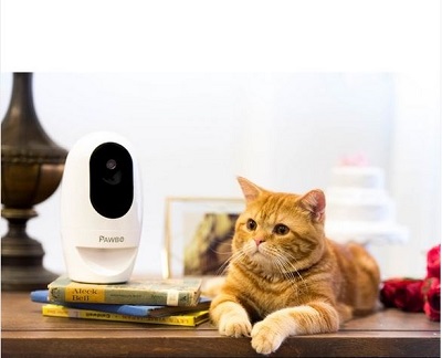 Acer stellt auf der IFA 2016 WLAN-Kamera für Haustiere vor: Pawbo+