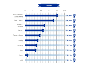 Beliebteste Hundenamen Rüden