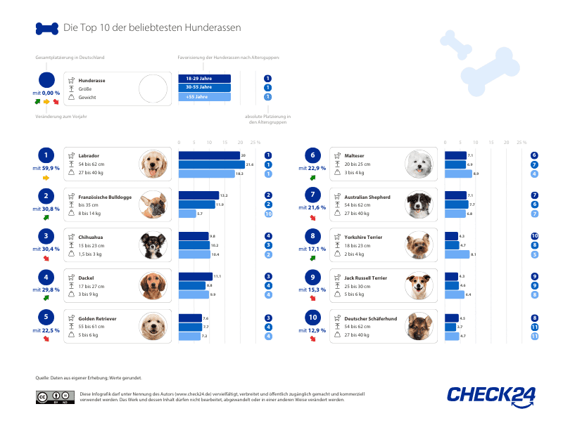 Auflistung der Top Ten Hunderassen 2023