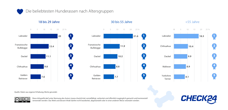 Auflistung der beliebtesten Hunderassen verschiedener Altersgruppen
