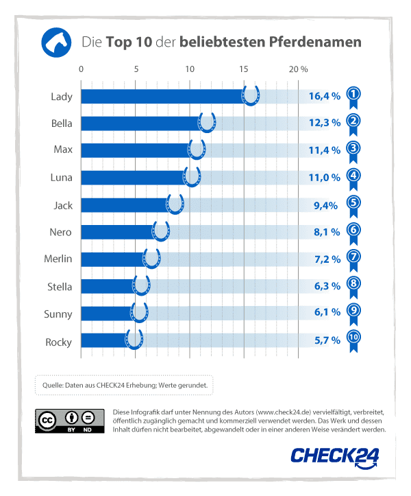 Pferdenamen Top 10