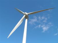 Die Windenergie wird laut Studie das Rückgrat der EU-Stromversorgung - aber die Strompreise steigen.