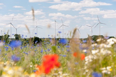 Die Allianz setzt in Zukunft auf Investitionen in Windenergie statt in Kohle. Foto: Allianz Deutschland AG
