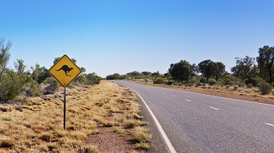 Straße Australien Känguru