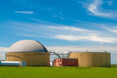 Biogasanlage: Biogas kann auch aus der Pflanze Silphie hergestellt werden. 