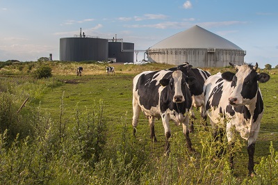 Biogasanlage: Einigung über Fördermenge für Biomasse erzielt.