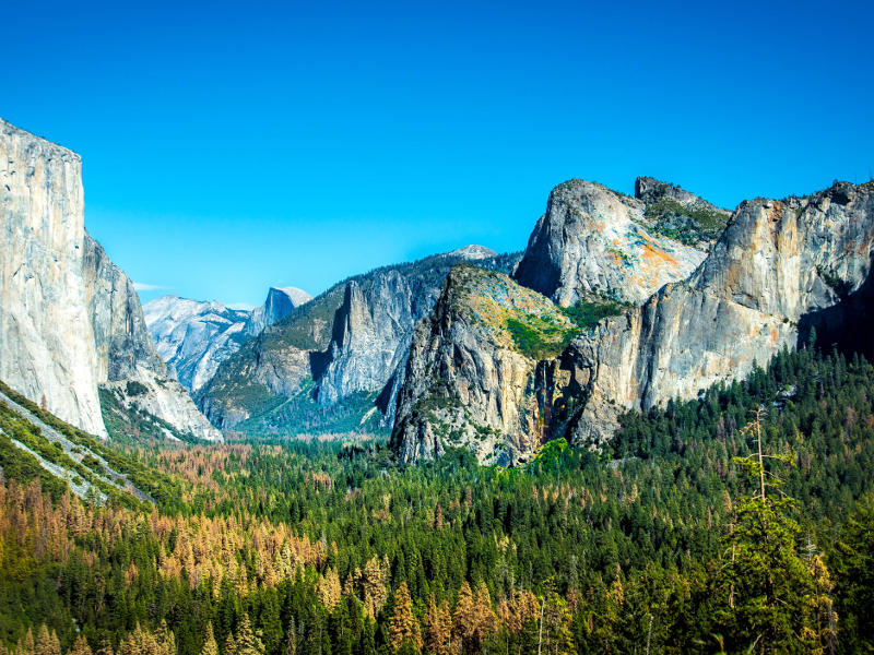 USA - Kalifornien - Yosemite National Park