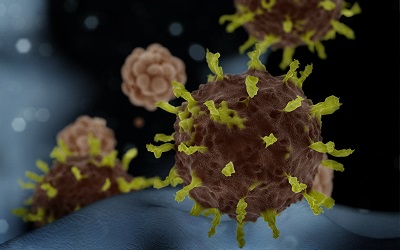 3D-Modell des Coronavirus vom Ausbruch 2020.