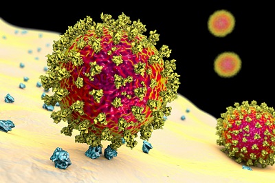 Coronavirus und Körperzelle