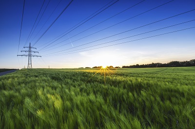 Bund könnte Stromnetz von Tennet kaufen