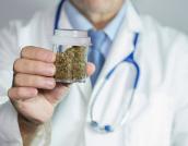 Arzt hält Dose mit Medizinalhanf