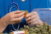 Arzt verpackt Medizinalhanf in Medikamentendose.