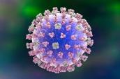 Influenza-Virus
