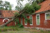 Entwurzelter Baum an Haus
