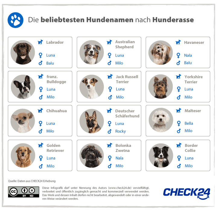 Beliebteste Hundenamen nach Hunderasse