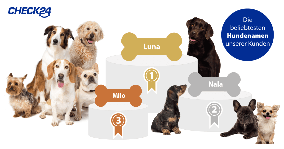 Die beliebtesten Hundenamen unserer Kunden - Luna, Nala, Milo auf dem Podium
