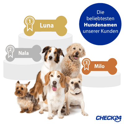 Die beliebtesten Hundenamen unserer Kunden