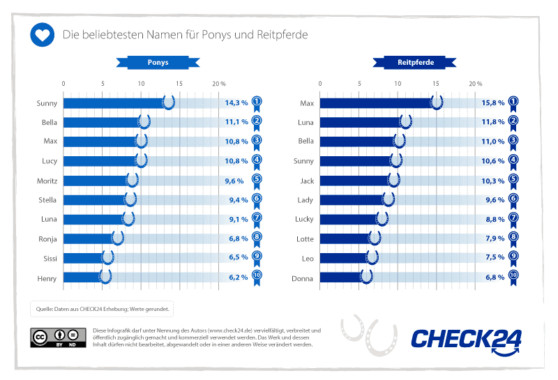 Beliebteste Namen für Ponys und Reitpferde