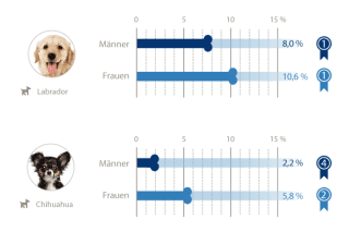 Hunderassen Geschlechter-Vergleich 1