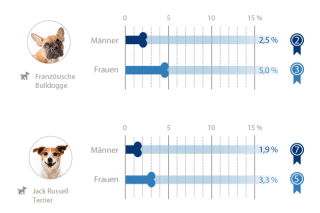 Hunderassen Geschlechter-Vergleich 2
