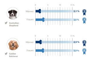 Hunderassen Geschlechter-Vergleich 3
