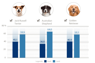 Beliebteste Hunderassen Stadt-Land-Vergleich 2