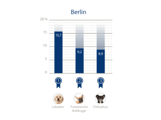 Top 3 Städte beliebteste Hunderassen Berlin