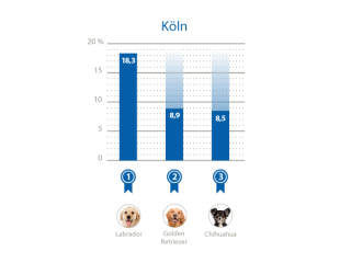 Top 3 Städte beliebteste Hunderassen Köln
