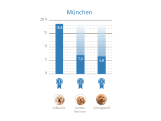 Top 3 Städte beliebteste Hunderassen München