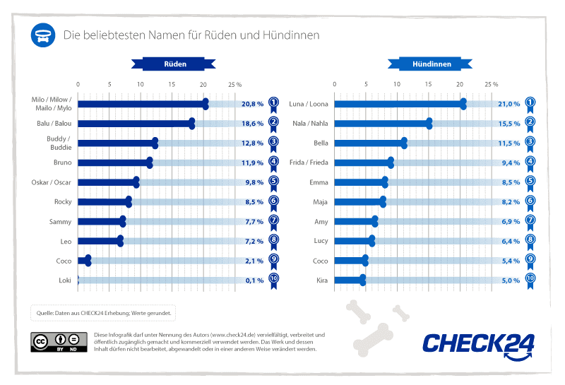 Beliebteste Hundenamen Rüde versus Hündin