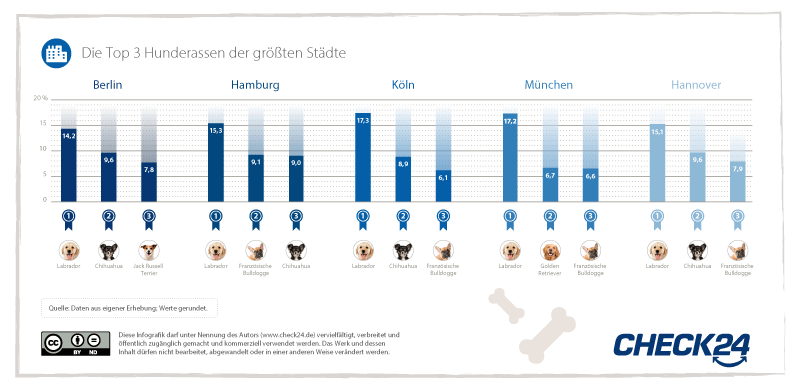 Auflistung der beliebtesten Hunderassen in deutschen Großstädten