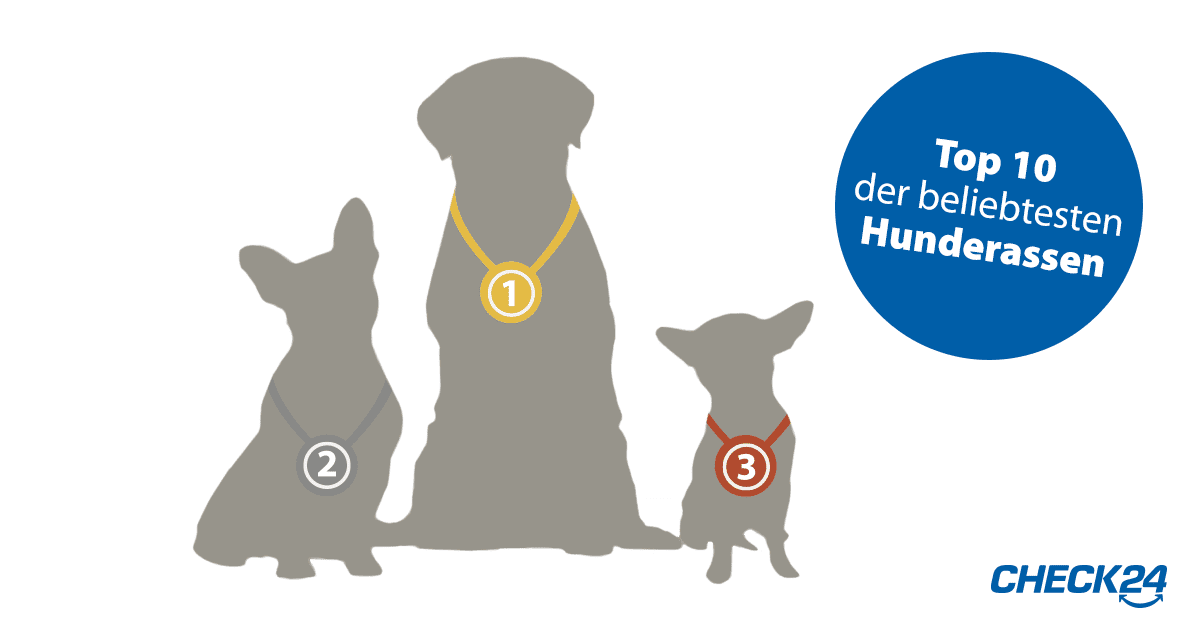 Hundeopversicherung Im Vergleich Check24 Hundeopversicherung Im Vergleich Check24