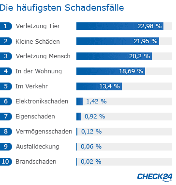 Hundehaftpflicht Die Haufigsten Schadensfalle Check24