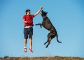 Ein Mann und ein Hund springen in die Luft.