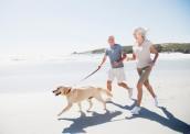 Hund mit Senioren am Strand