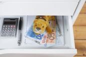 Stoffhund in Schublade auf Geldscheinen