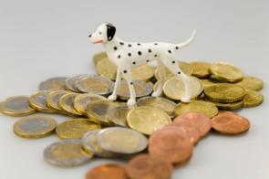 Hundefigur auf Münzen