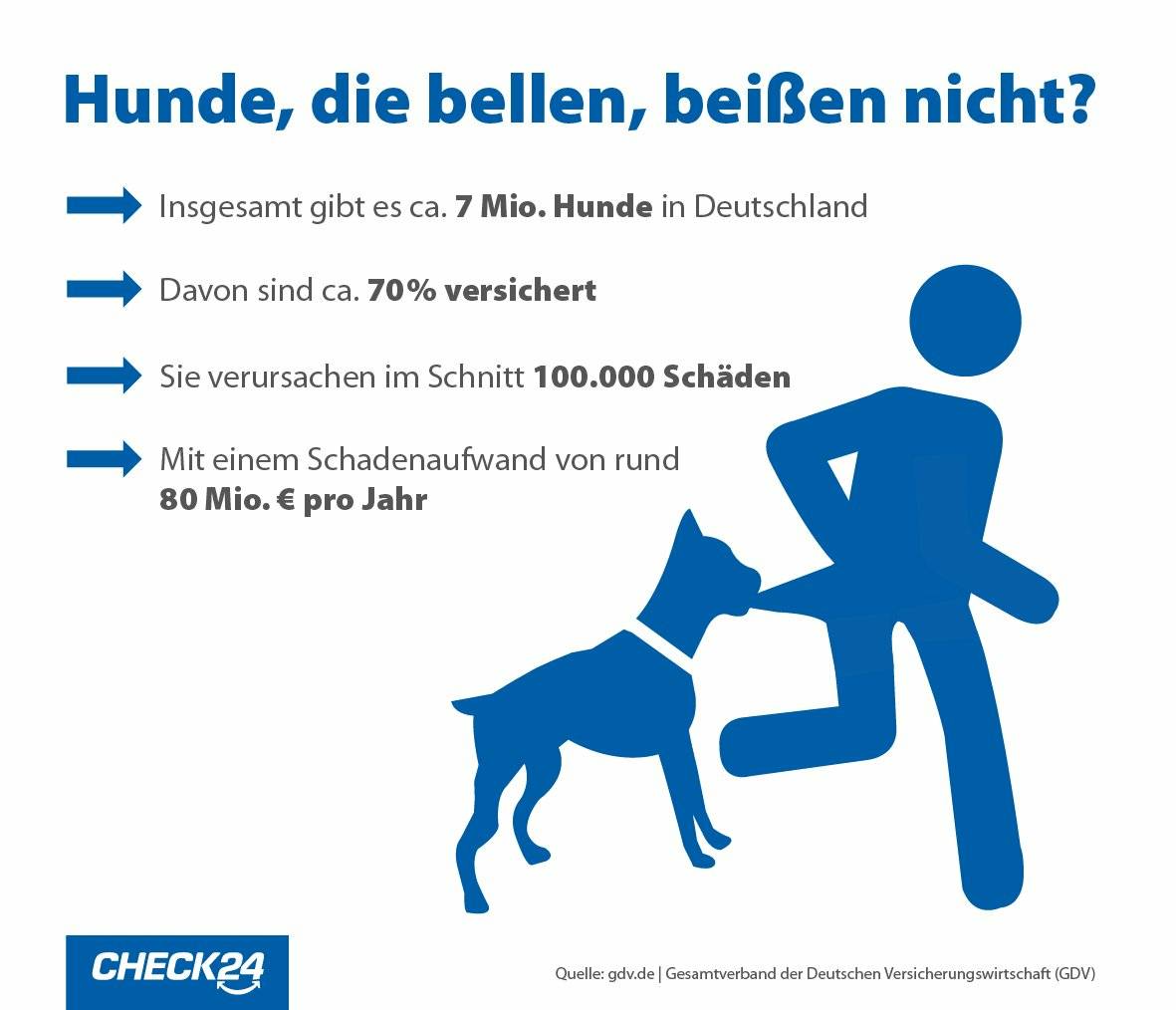 Hundehaftpflicht Die Haufigsten Schadensfalle Check24