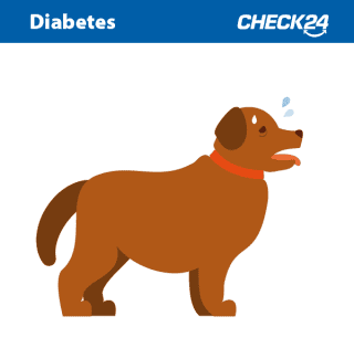 Hund mit Diabetes