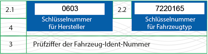 HSN und TSN