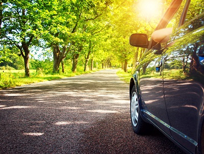 Mit Autokredit finanzierter PKW fährt durch Allee