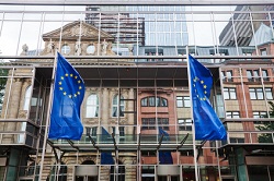 Euro-Towner mit Flaggen