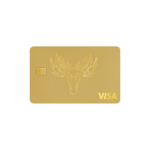 Bank Norwegian VISA Card