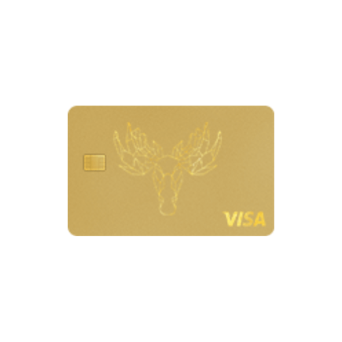 Bank Norwegian VISA CARD