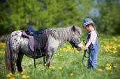 Kleines Mädchen streichelt ein Pony.