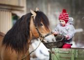 Ein Kleinkind sitzt auf einem Zaun und füttert aus einem Trog ein Pferd.