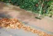 Vom Gehweg vor dem Haus müssen die im Herbst fallenden, bunten Blätter unbedingt entfernt werden.