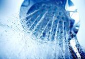 Duschkopf mit Wasser
